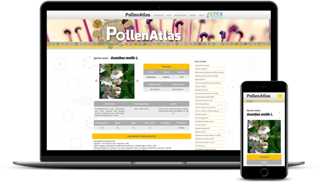 Pollenatlas, portale palinologia che offre un catalogo di foto e video di pollini realizzato da Digisin